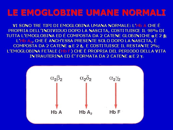 LE EMOGLOBINE UMANE NORMALI VI SONO TRE TIPI DI EMOGLOBINA UMANA NORMALE: L’Hb A