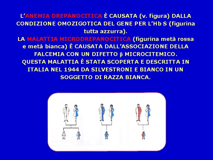 L’ANEMIA DREPANOCITICA È CAUSATA (v. figura) DALLA CONDIZIONE OMOZIGOTICA DEL GENE PER L’Hb S