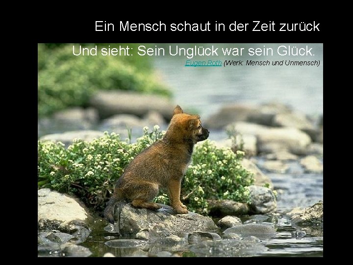 Ein Mensch schaut in der Zeit zurück Und sieht: Sein Unglück war sein Glück.