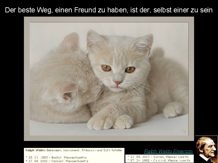 Der beste Weg, einen Freund zu haben, ist der, selbst einer zu sein Ralph