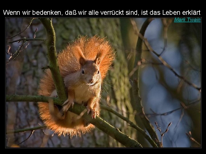 Wenn wir bedenken, daß wir alle verrückt sind, ist das Leben erklärt Mark Twain