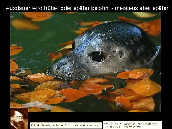 Ausdauer wird früher oder später belohnt - meistens aber später. 