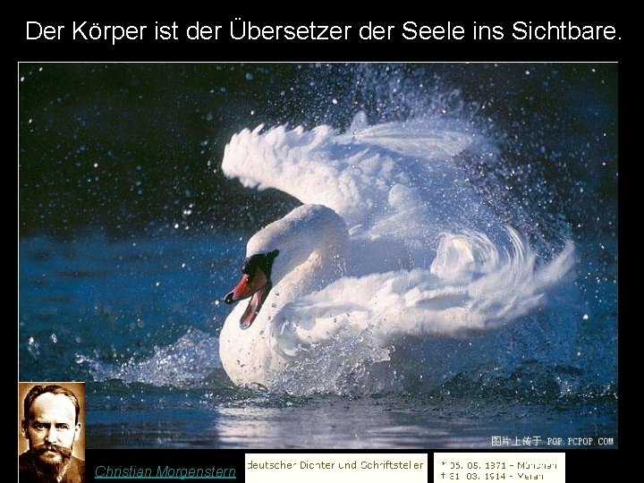 Der Körper ist der Übersetzer der Seele ins Sichtbare. Christian Morgenstern 