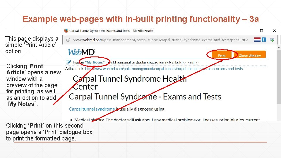 Example web-pages with in-built printing functionality – 3 a This page displays a simple