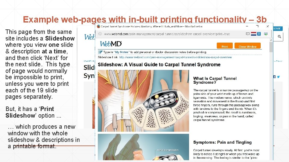 Example web-pages with in-built printing functionality – 3 b This page from the same
