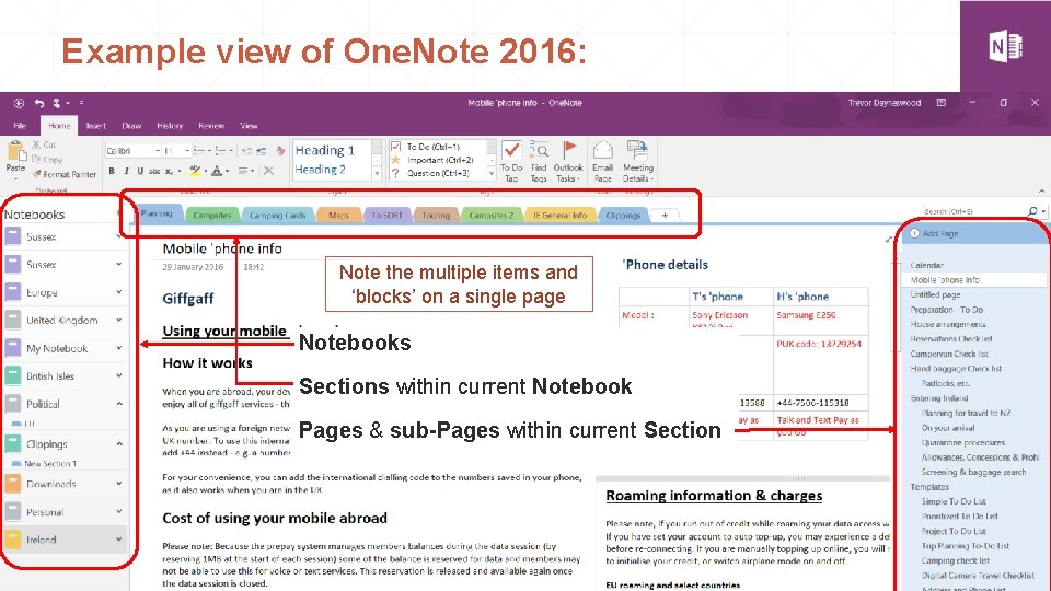 Example view of One. Note 2016: Note the multiple items and ‘blocks’ on a