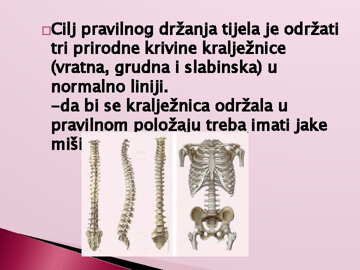 �Cilj pravilnog držanja tijela je održati tri prirodne krivine kralježnice (vratna, grudna i slabinska)