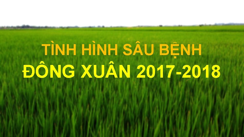 TÌNH HÌNH S U BỆNH ĐÔNG XU N 2017 -2018 