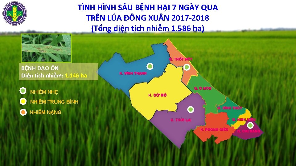 TÌNH HÌNH S U BỆNH HẠI 7 NGÀY QUA TRÊN LÚA ĐÔNG XU N