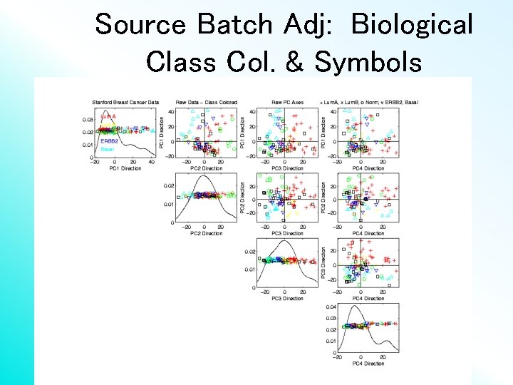 Source Batch Adj: Biological Class Col. & Symbols 