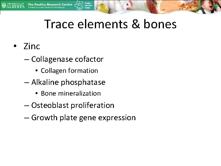 Trace elements & bones • Zinc – Collagenase cofactor • Collagen formation – Alkaline