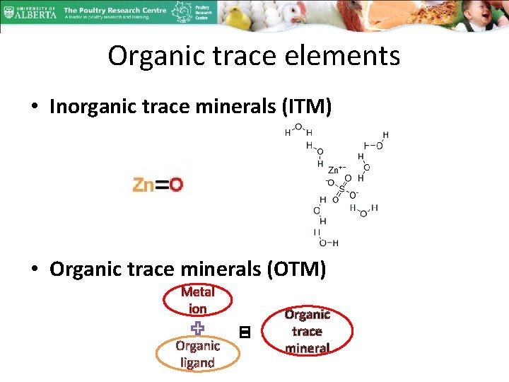Organic trace elements • Inorganic trace minerals (ITM) • Organic trace minerals (OTM) Metal