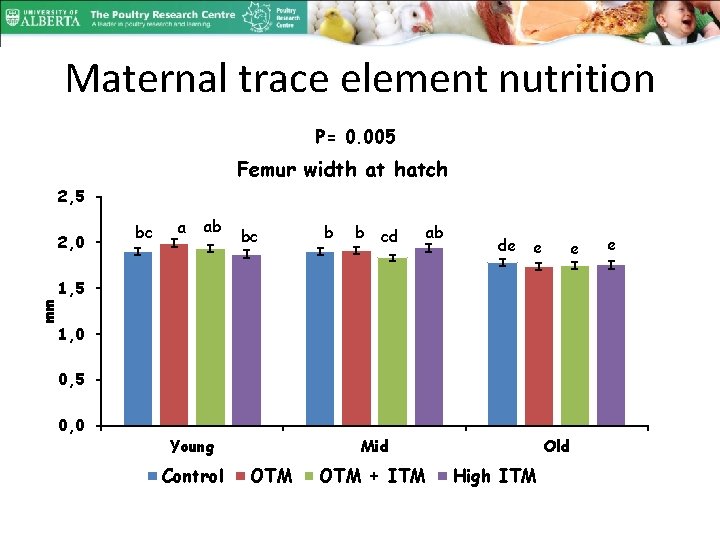 Maternal trace element nutrition P= 0. 005 Femur width at hatch 2, 5 2,