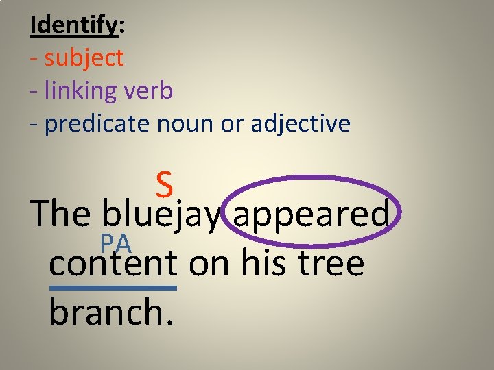 Identify: - subject - linking verb - predicate noun or adjective S The bluejay