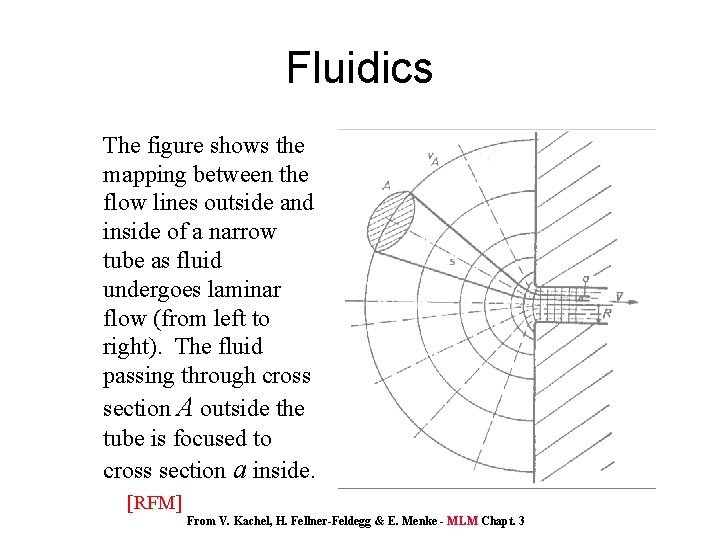 Fluidics The figure shows the mapping between the flow lines outside and inside of