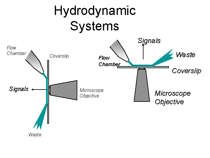 Hydrodynamic Systems Signals Flow Chamber Coverslip Signals Waste Flow Chamber Microscope Objective Waste Coverslip