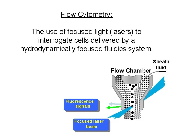 Flow Cytometry: The use of focused light (lasers) to interrogate cells delivered by a