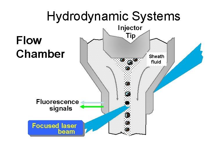 Hydrodynamic Systems Flow Chamber Fluorescence signals Focused laser beam Injector Tip Sheath fluid 