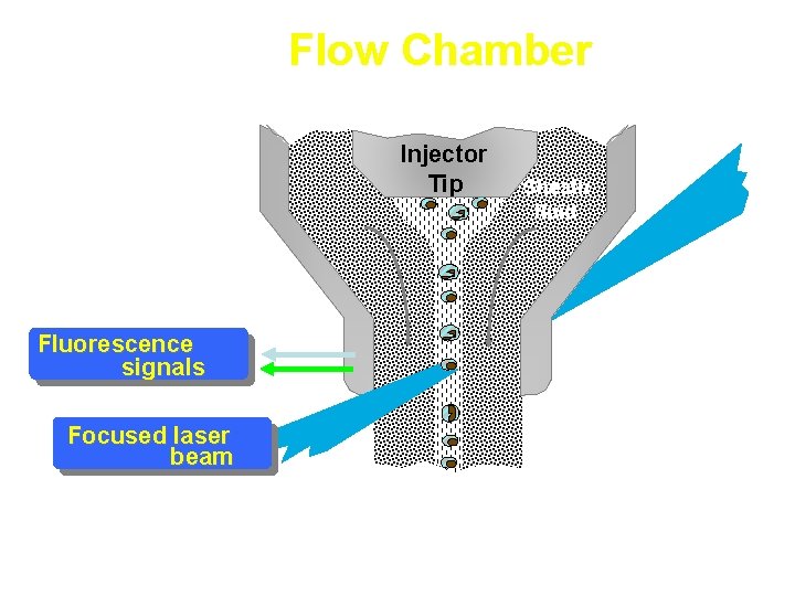 Flow Chamber Injector Tip Fluorescence signals Focused laser beam Sheath fluid 