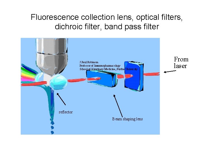 Fluorescence collection lens, optical filters, dichroic filter, band pass filter J. Paul Robinson Professor