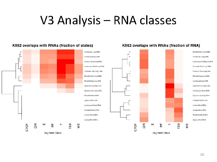 V 3 Analysis – RNA classes 18 