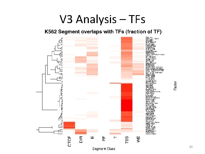V 3 Analysis – TFs 20 