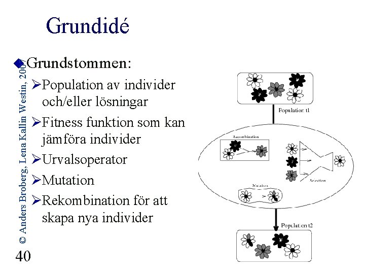 Grundidé © Anders Broberg, Lena Kallin Westin, 2007 u Grundstommen: ØPopulation av individer och/eller