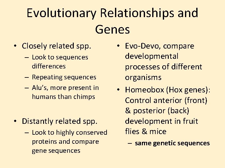 Evolutionary Relationships and Genes • Closely related spp. – Look to sequences differences –