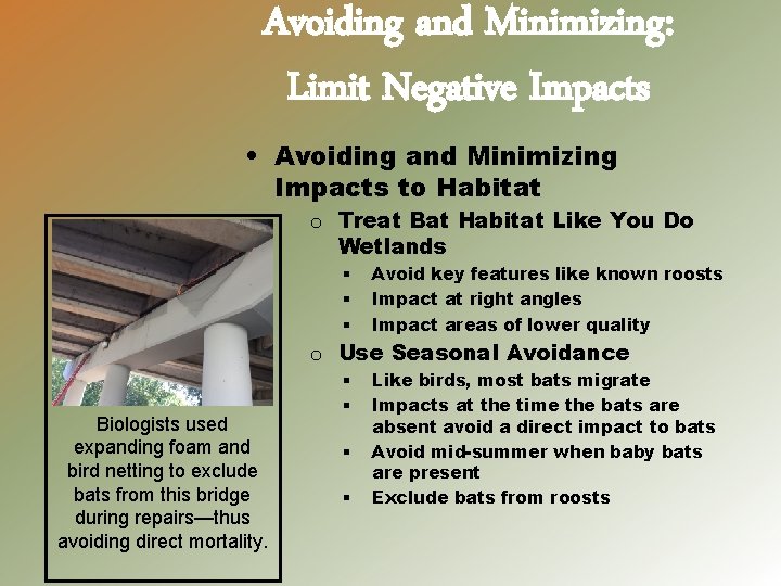 Avoiding and Minimizing: Limit Negative Impacts • Avoiding and Minimizing Impacts to Habitat o