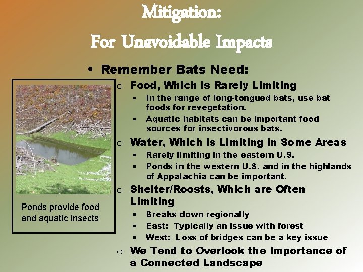 Mitigation: For Unavoidable Impacts • Remember Bats Need: o Food, Which is Rarely Limiting