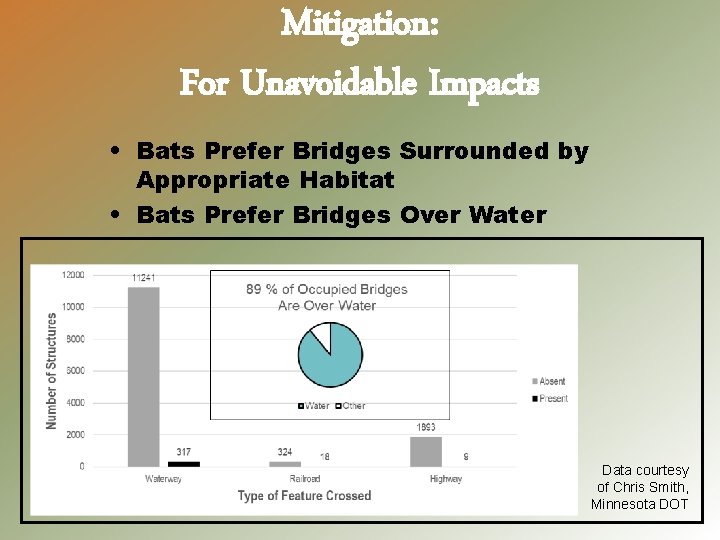 Mitigation: For Unavoidable Impacts • Bats Prefer Bridges Surrounded by Appropriate Habitat • Bats