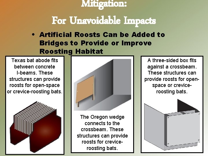 Mitigation: For Unavoidable Impacts • Artificial Roosts Can be Added to Bridges to Provide