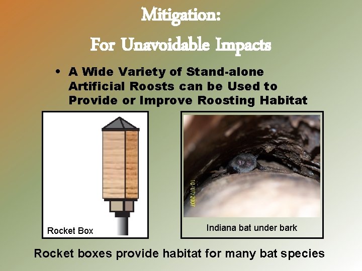 Mitigation: For Unavoidable Impacts • A Wide Variety of Stand-alone Artificial Roosts can be