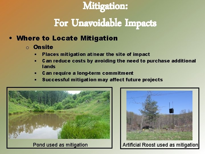 Mitigation: For Unavoidable Impacts • Where to Locate Mitigation o Onsite § § Places