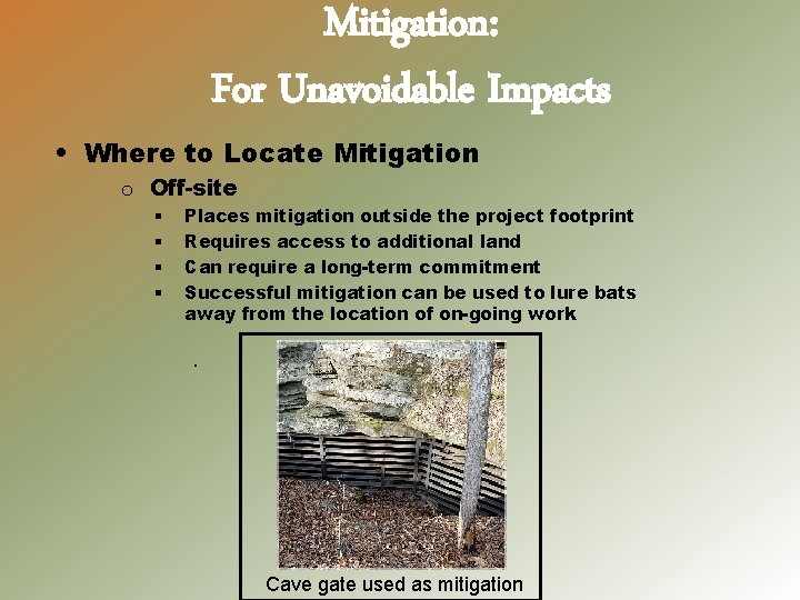 Mitigation: For Unavoidable Impacts • Where to Locate Mitigation o Off-site § § Places