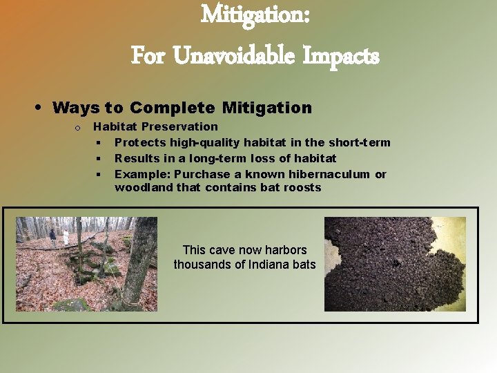 Mitigation: For Unavoidable Impacts • Ways to Complete Mitigation o Habitat Preservation § Protects