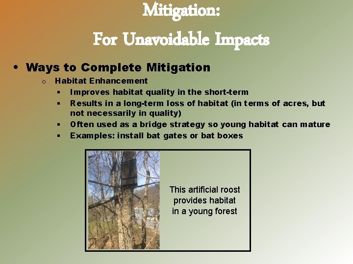 Mitigation: For Unavoidable Impacts • Ways to Complete Mitigation o Habitat Enhancement § Improves