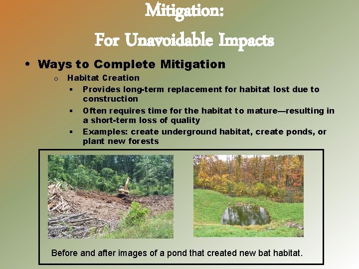 Mitigation: For Unavoidable Impacts • Ways to Complete Mitigation o Habitat Creation § Provides