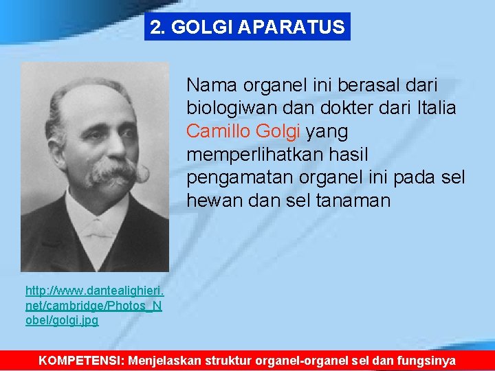 2. GOLGI APARATUS Nama organel ini berasal dari biologiwan dokter dari Italia Camillo Golgi