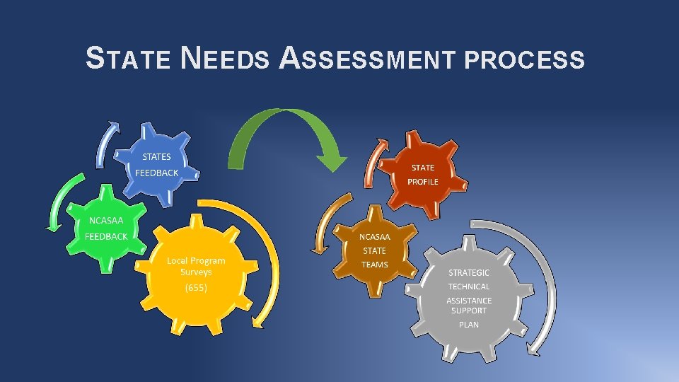 STATE NEEDS ASSESSMENT PROCESS 
