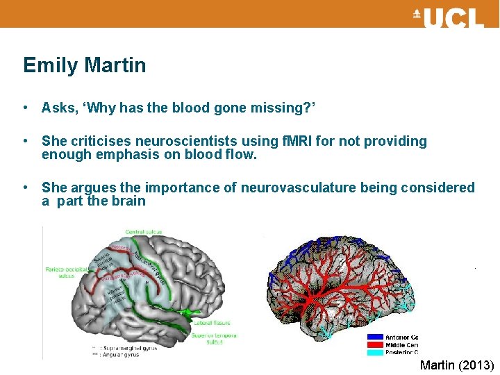 Emily Martin • Asks, ‘Why has the blood gone missing? ’ • She criticises