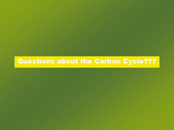 Questions about the Carbon Cycle? ? ? 