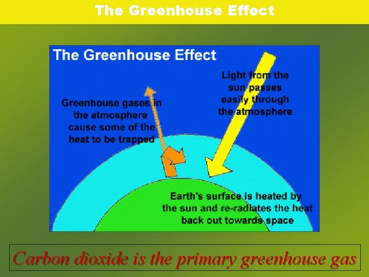 The Greenhouse Effect Carbon dioxide is the primary greenhouse gas 