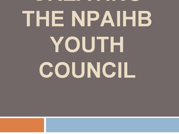 CREATING THE NPAIHB YOUTH COUNCIL 