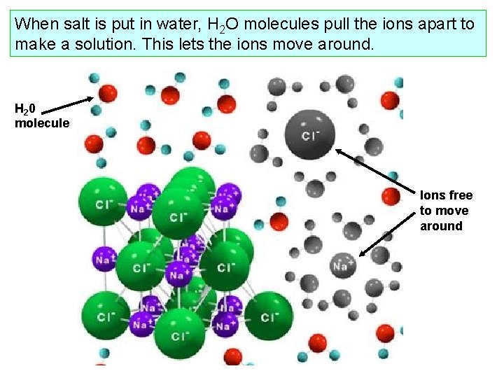 When salt is put in water, H 2 O molecules pull the ions apart When salt is put in water, H 2 O molecules pull the ions apart