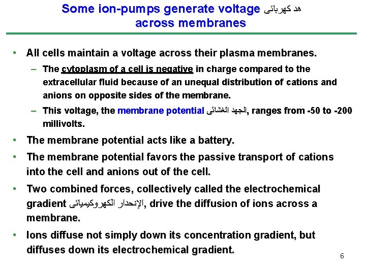 Some ion-pumps generate voltage ﻫﺪ ﻛﻬﺮﺑﺎﺋﻰ across membranes • All cells maintain a voltage