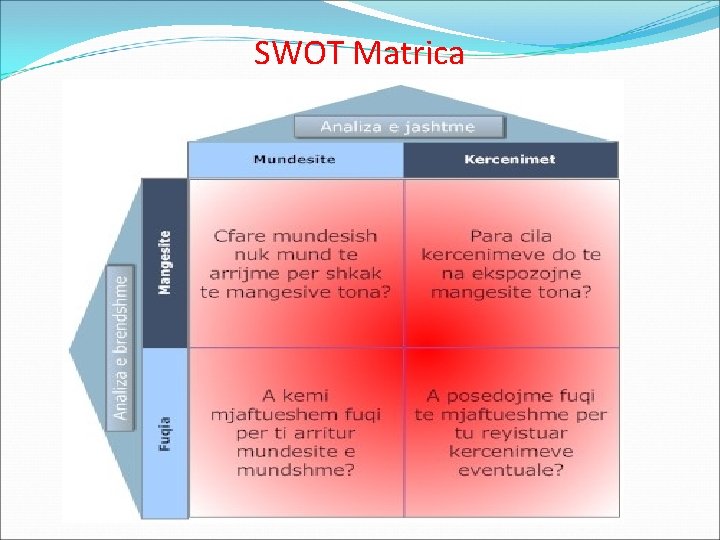 SWOT Matrica 
