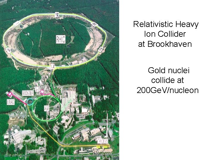Relativistic Heavy Ion Collider at Brookhaven Gold nuclei collide at 200 Ge. V/nucleon 
