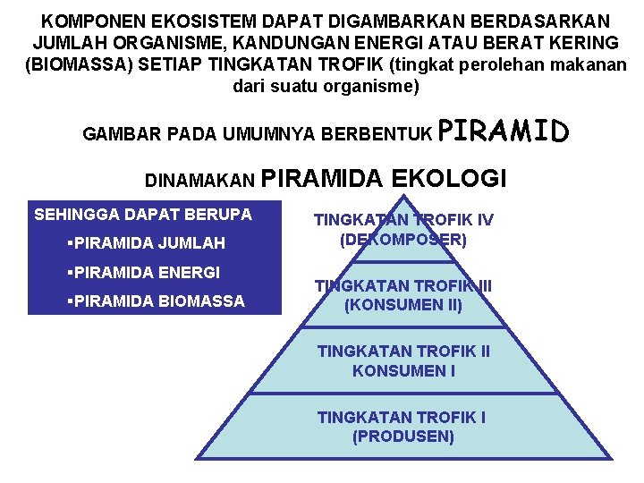 KOMPONEN EKOSISTEM DAPAT DIGAMBARKAN BERDASARKAN JUMLAH ORGANISME, KANDUNGAN ENERGI ATAU BERAT KERING (BIOMASSA) SETIAP