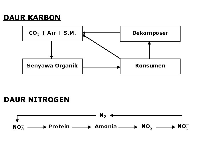 DAUR KARBON CO 2 + Air + S. M. Dekomposer Senyawa Organik Konsumen DAUR